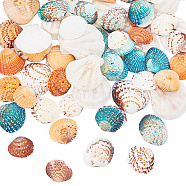 200G 4 Styles Dyed Natural Mixed Shell Beads Sets, Mixed Color, 24~45x20~42x6~10mm, hole: 1~2mm, 50g/style(BSHE-NB0001-30)