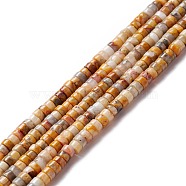 Natural Crazy Agate Beads Strands, Flat Round, 4~4.5x2~2.5mm, Hole: 0.8~1mm, about 155~172pcs/strand, 15.12 inch~15.55 inch(38.4~39.5cm)(G-A201-A05)