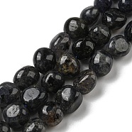 Natural Iolite Beads Strands, Nuggets Tumbled Stone, 10~14x9~10x8~9mm, Hole: 1mm, about 35~36pcs/strand, 15.63''~15.79'' (39.7~40.1cm)(G-C038-02A-02)