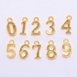 Tibetan Style Alloy Pendants, Cadmium Free & Lead Free, Number 0~9, Golden, 15~15.5x5~8.5x2mm, Hole: 1.8mm, 10pcs/set(TIBEP-TAC0001-14G)