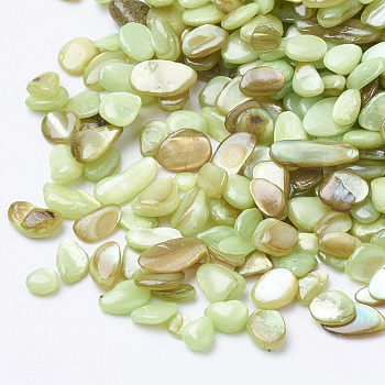 Shell Beads, No Hole Beads, Dyed, Chip, Green Yellow, 1~15x1~15x0.5~5mm, about 450g/bag