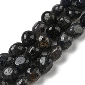 Natural Iolite Beads Strands, Nuggets Tumbled Stone, 10~14x9~10x8~9mm, Hole: 1mm, about 35~36pcs/strand, 15.63''~15.79'' (39.7~40.1cm)