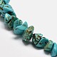 Chips Synthetic Turquoise Beads Strands(G-N0134-08A)-2