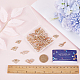 48Pcs 6 Styles Alloy Crystal Rhinestone Connector Charms(RB-SC0001-10)-3