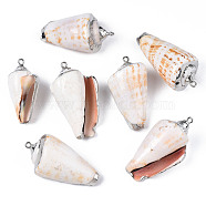 Electroplate Natural Spiral Shell Pendants, with Platinum Iron Loop, Antique White, 37~47x18~26x15~22mm, Hole: 1.8mm(SSHEL-S266-031)