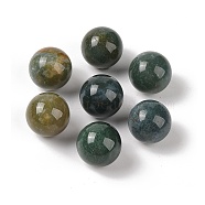 Natural Indian Agate No Hole Sphere Beads, Round, 16mm(G-K353-04D-09)