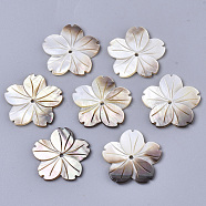 Natural Black Lip Shell Beads, Carved, Flower, 23x24x2mm, Hole: 1.6mm(X-SHEL-N026-19)