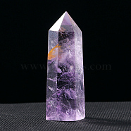 Tower Natural Amethyst Display Decoration, Healing Stone Wands, for Energy Balancing Meditation Therapy Decors, Hexagonal Prism, 40~50mm(WG83739-03)