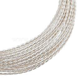 Brass Twist Rope Wire, Silver, 20 Gauge, 0.8mm, about 14.76 Feet(4.5m)/Bundle(CWIR-WH0010-06S)