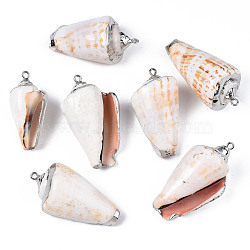 Electroplate Natural Spiral Shell Pendants, with Platinum Iron Loop, Antique White, 37~47x18~26x15~22mm, Hole: 1.8mm(SSHEL-S266-031)