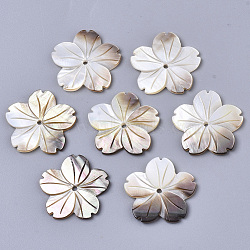 Natural Black Lip Shell Beads, Carved, Flower, 23x24x2mm, Hole: 1.6mm(X-SHEL-N026-19)