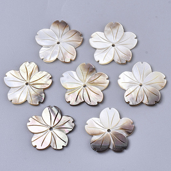 Natural Black Lip Shell Beads, Carved, Flower, 23x24x2mm, Hole: 1.6mm