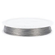 Tiger Tail, Original Color(Raw) Wire, Nylon-coated 304 Stainless Steel, Raw, 0.25mm, about 328.08 Feet(100m)/Roll(TWIR-BBC0001-03A)