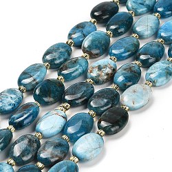 Natural Apatite Beads Strands, with Seed Beads, Oval, 13.5~14.5x10~10.5x4.5~5mm, Hole: 1mm, about 24pcs/strand, 15.24''(38.7cm)(G-H005-A03-02)