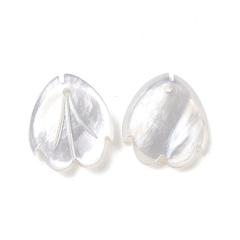 Natural White Shell Charms, Flower Petal, Seashell Color, 13.7~14x12~12.5x1.5~2mm, Hole: 1mm