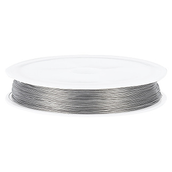 Tiger Tail, Original Color(Raw) Wire, Nylon-coated 304 Stainless Steel, Raw, 0.25mm, about 328.08 Feet(100m)/Roll