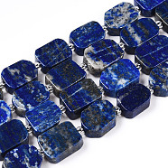 Natural Lapis Lazuli Beads Strands, with Seed Beads, Rectangle, 10~16x8~10x4~5mm, Hole: 0.9mm, seed beads: 3x3x2, hole: 0.8mm, about 27pcs/strand, 14.96''(38~39cm)(G-T138-14)