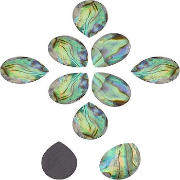 Natural Abalone Shell/Paua Shell Cabochons, with Freshwater Shell, Square, Colorful, 10x10x3mm, 20pcs/box