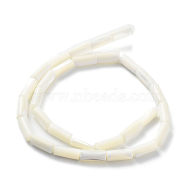 Natural Trochus Shell Beads Strands(SSHEL-S266-020A-06)-3