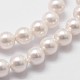 Chapelets de perles en coquille(X-BSHE-L025-01-4mm)-3
