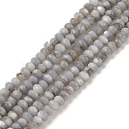 Natural Freshwater Shell Dyed Beads Strands, Faceted Rondelle, Dark Gray, 4x3mm, Hole: 0.7mm, about 137pcs/strand, 15.35''(39cm)(SHEL-R100-13A-04)