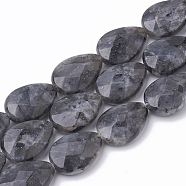 Natural Labradorite Beads Strands, Faceted, teardrop, 18x13x5mm, Hole: 1mm, about 22pcs/strand, 15.5 inch(G-S292-17)