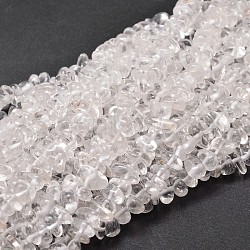 Natural Quartz Crystal Chip Beads Strands, 5~14x4~10mm, Hole: 1mm, about 15.5 inch~16.1 inch(X-G-E271-103)