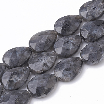 Natural Labradorite Beads Strands, Faceted, teardrop, 18x13x5mm, Hole: 1mm, about 22pcs/strand, 15.5 inch