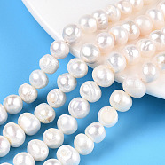 Natural Cultured Freshwater Pearl Beads Strands, Potato, Creamy White, 6~11.5x7~9mm, Hole: 0.6mm, about 46~47pcs/strand, 13.58~13.78 inch(34.5~35cm)(PEAR-N013-08G)