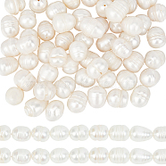 2 Strands Natural Cultured Freshwater Pearl Beads Strands, Rice, Seashell Color, 10~12x9~10mm, Hole: 0.7mm, about 32~33pcs/strand, 13.39 inch(34cm)(PEAR-SC0001-10)