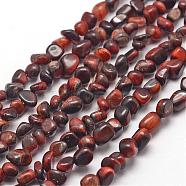 Natural Red Tiger Eye Beads Strands, Nuggets, Dyed & Heated, 3~5x3~5x3~8mm, Hole: 1mm, about 85~90pcs/strand, 15.7 inch(40cm)(G-F465-13)