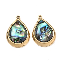 Natural Paua Shell Pendants, Teardrop Charm, with 304 Stainless Steel Findings, Ion Plating(IP), Long-Lasting Plated, 26.5x19x5.5mm, Hole: 1.6mm(SA-CBA11D7-27B-G)