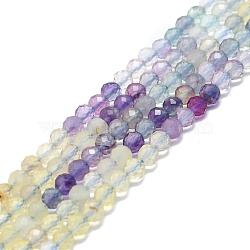 Natural Fluorite Beads Strands, Faceted, Round, 4mm, Hole: 0.8mm, about 108pcs/strand, 15.16''~15.55''(38.5~39.5cm)(G-P457-A03-19)