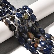 Natural Sodalite Beads Strands, Teardrop, 13.5~14x10~10.5x5mm, Hole: 1mm, about 27~28pcs/strand, 37.3~38.3cm(G-I377-A09)