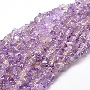 Natural Ametrine Chip Beads Strands, 4~15x5~8mm, Hole: 1mm, about 31.5 inch(X-G-E271-60)