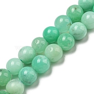 Grade AA Natural Chrysoprase Beads Strands, Round, 6mm, Hole: 0.8mm, about 60pcs/strand, 15.16~15.28''(38.5~38.8cm)(G-R494-A01-02)