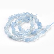 Natural Aquamarine Beads Strands, Tumbled Stone, Nuggets, 7~11x5~8mm, Hole: 0.8mm, about 51pcs/strand, 15.6 inch(39.8cm)(G-F575-11)