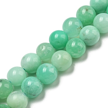 Grade AA Natural Chrysoprase Beads Strands, Round, 6mm, Hole: 0.8mm, about 60pcs/strand, 15.16~15.28''(38.5~38.8cm)