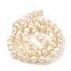 Electroplated Shell Pearl Beads Strands(BSHE-C006-02B)-2