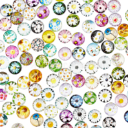 Glass Cabochons, Half Round with Daisy Pattern, Flower Pattern, 1/2 inch(12mm), 100pcs/bag(GLAA-WH0025-23A)