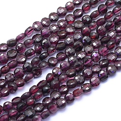 Natural Garnet Beads Strands, Faceted, Flat Round, 4x2.5mm, Hole: 0.6mm, about 100pcs/strand, 15.35 inch(39cm)(G-E530-07AL)