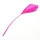 Fashion Goose Feather Costume Accessories(FIND-Q040-21F)-1