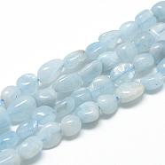 Natural Aquamarine Beads Strands, Oval, 8~15x7~12x4~12mm, Hole: 1mm, about 30~45pcs/strand, 15.7 inch(G-R445-8x10-36)