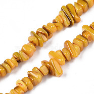 Natural Trochid Shell/Trochus Shell Beads Strands, Dyed, Chips, Goldenrod, 7~22x5~8x1~6.5mm, Hole: 1mm, about 96~111pcs/strand, 14.37 inch~15.75 inch(36.5cm~40cm)(SHEL-S258-080-B02)