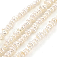 Natural Keshi Pearl Cultured Freshwater Pearl Beads Strands, Baroque Pearls, Grade 4A, Nuggets, Antique White, 2.5~3mm, Hole: 0.3mm, about 129pcs/strand, 7.09 inch(18cm)(PEAR-C003-38)