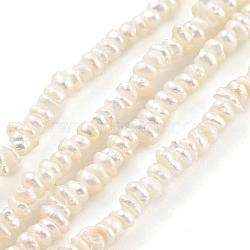 Natural Keshi Pearl Cultured Freshwater Pearl Beads Strands, Baroque Pearls, Grade 4A, Nuggets, Antique White, 2.5~3mm, Hole: 0.3mm, about 129pcs/strand, 7.09 inch(18cm)(PEAR-C003-38)