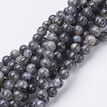 Natural Larvikite Beads Strands, Round, about 6mm, Hole: 0.8mm, about 63pcs/strand, 15.5 inch