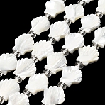 Natural Trochid Shell/Trochus Shell Beads Strands, with Seed Beads, Shell Shape, Seashell Color, 12x11.5x3~3.5mm, Hole: 1mm, about 13pcs/strand, 7.28''(18.5cm)(BSHE-A002-06)