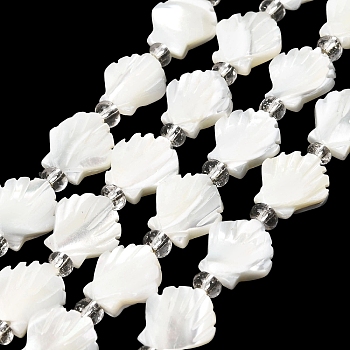 Natural Trochid Shell/Trochus Shell Beads Strands, with Seed Beads, Shell Shape, Seashell Color, 12x11.5x3~3.5mm, Hole: 1mm, about 13pcs/strand, 7.28''(18.5cm)