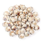 Handmade Bright Glazed Porcelain Beads, Shell Shapes, Beige, 12mm, Hole: 1.8mm, 5Pcs/set(PW-WG68EBA-06)
